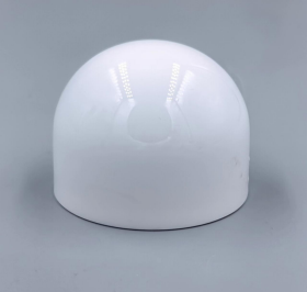 полукруглая грибовидная белая крышка